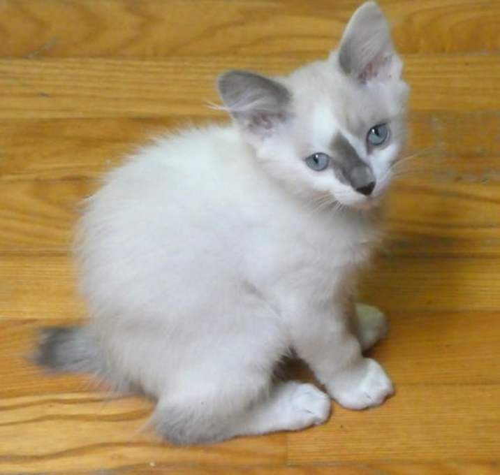 Photo of Tommy