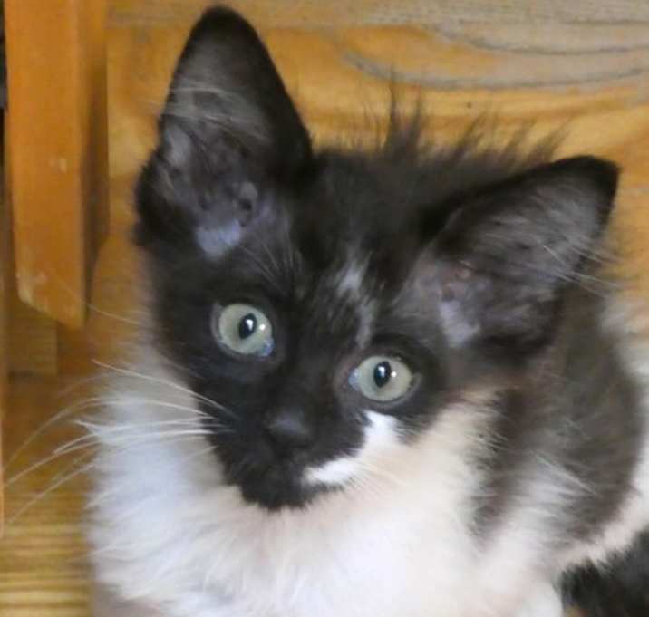 Photo of Jerry