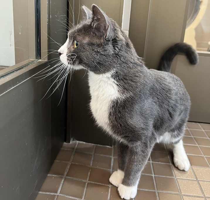 Photo of Graycie