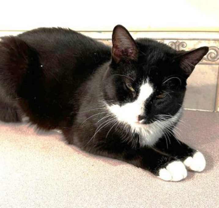 Photo of Firkle