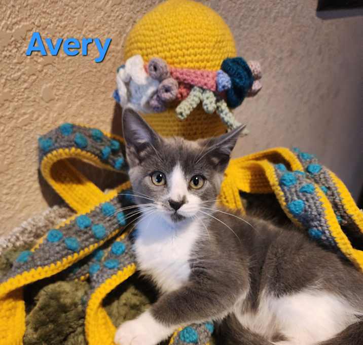 Photo of Avery