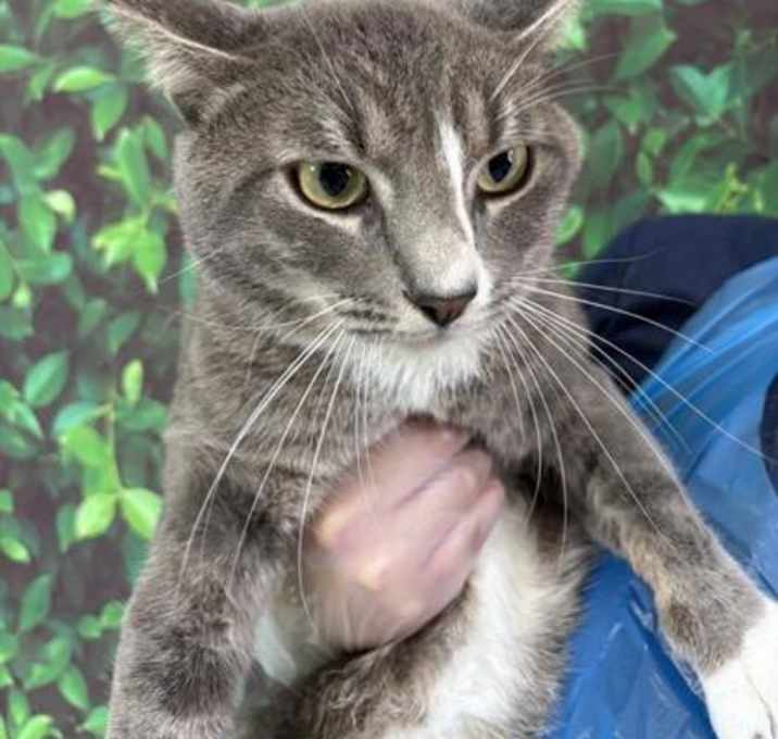 Photo of Gordon