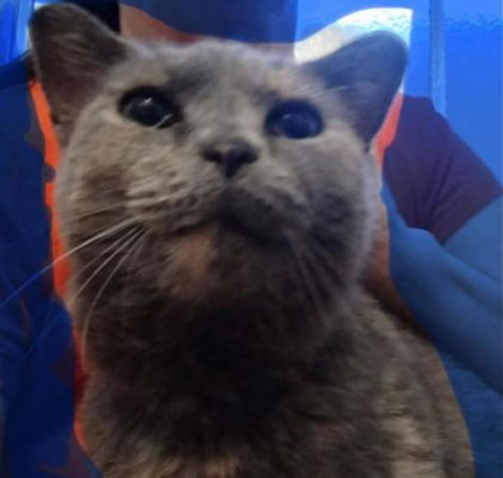 Photo of Mia
