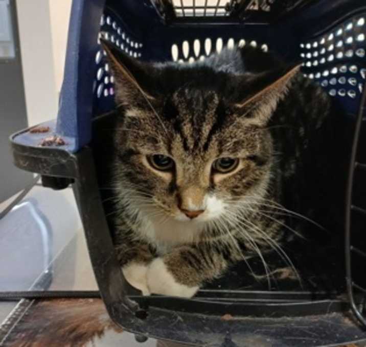 Photo of Storm
