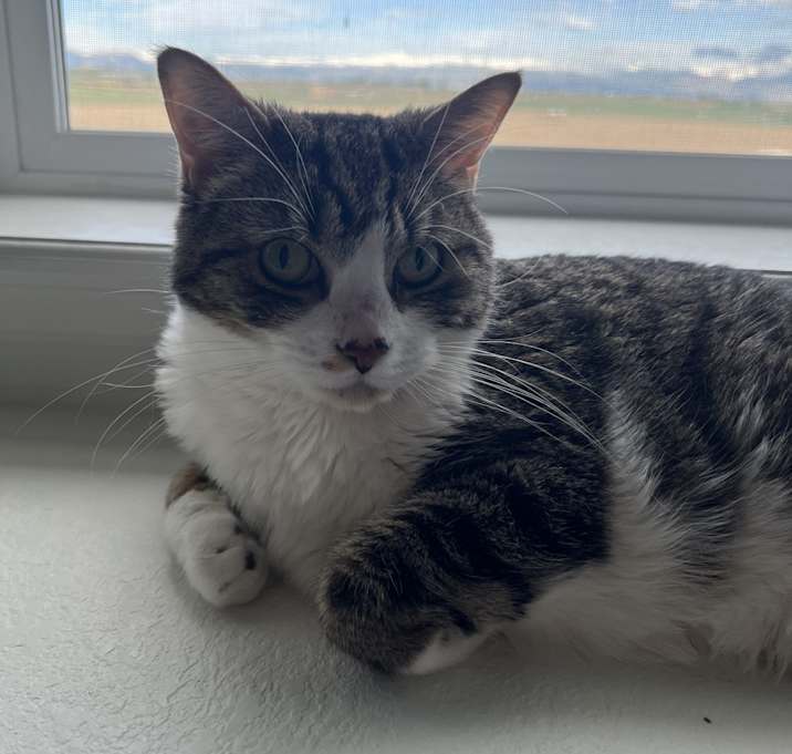 Photo of Mabel