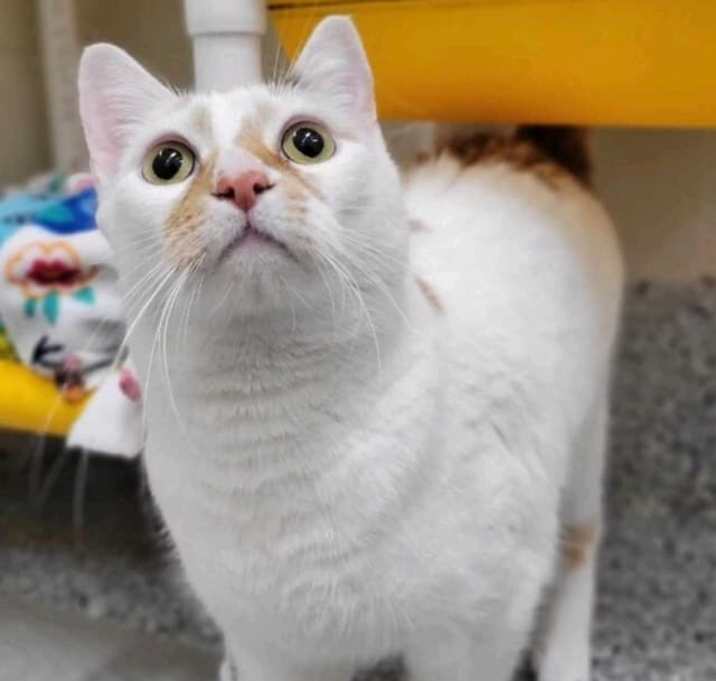 Photo of Bonnie