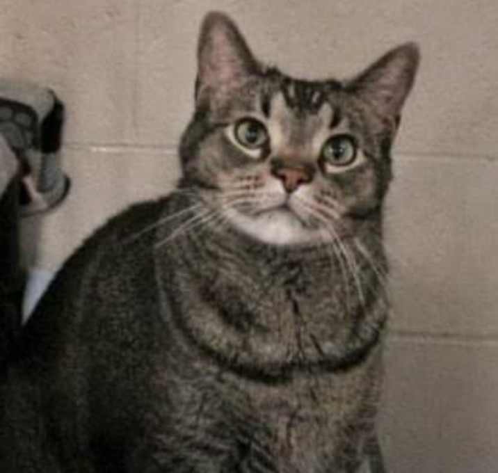 Photo of Locke