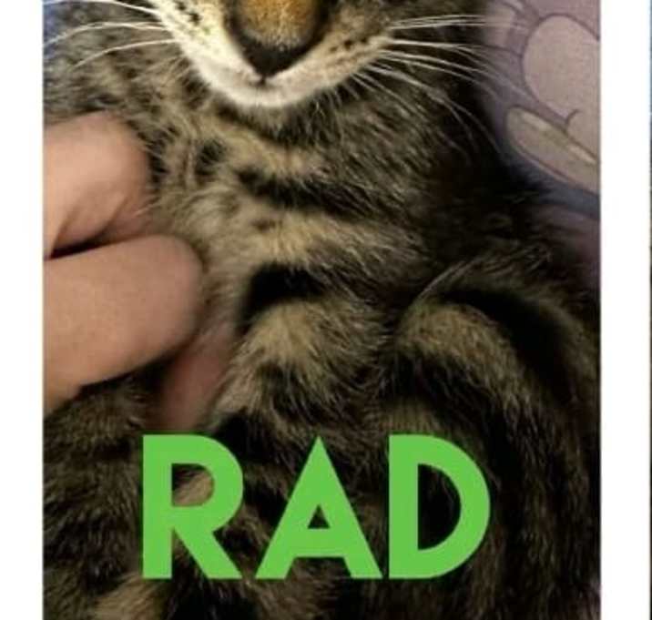 Photo of Rad