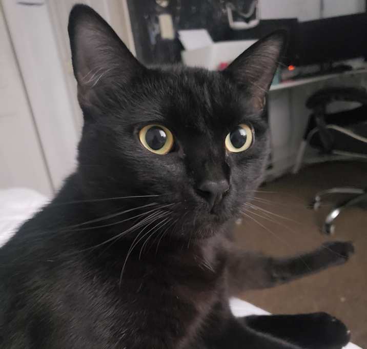 Photo of Enid