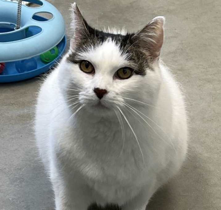 Photo of Mochie