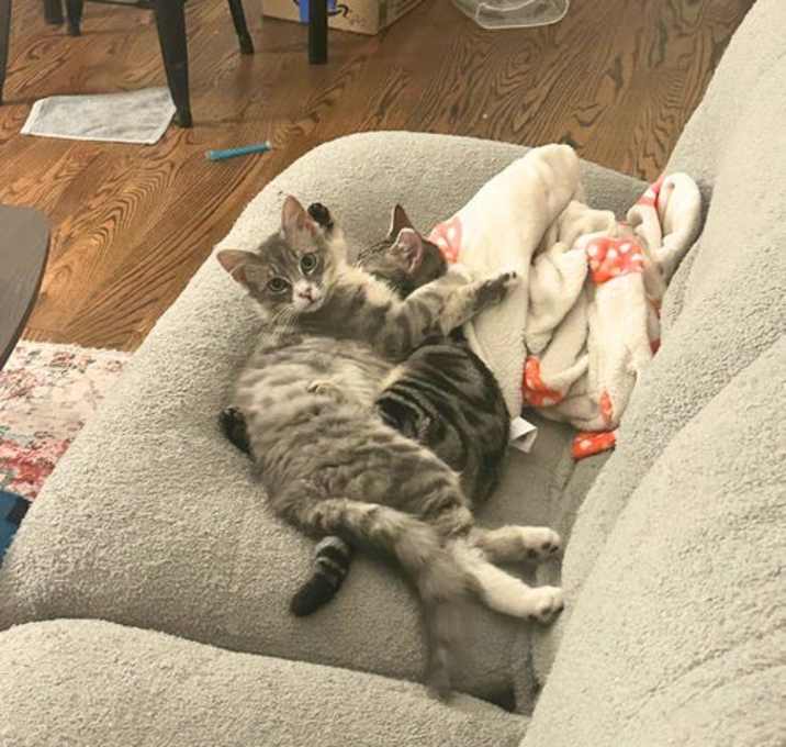 Photo of Wink & Fraser
