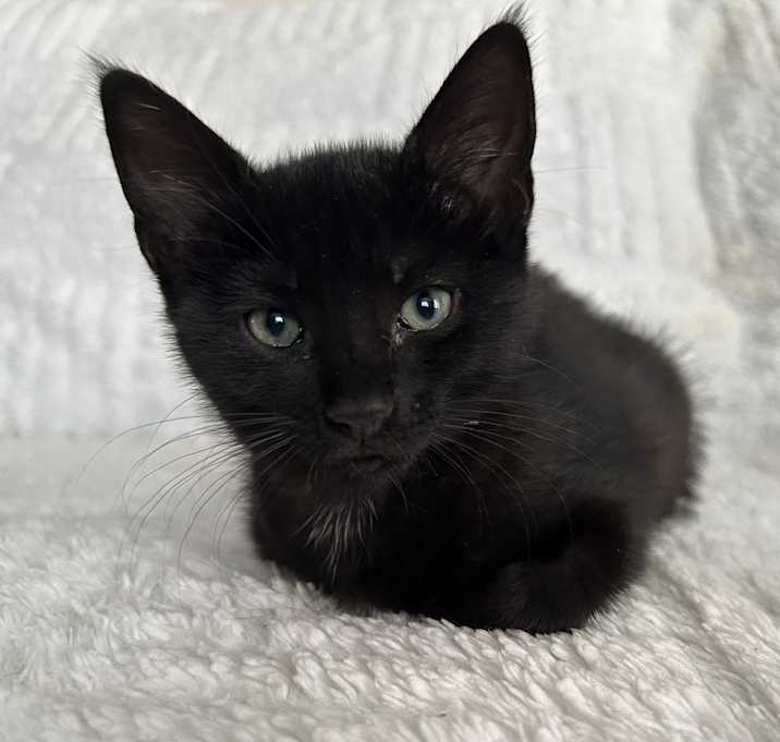 Photo of Felicity