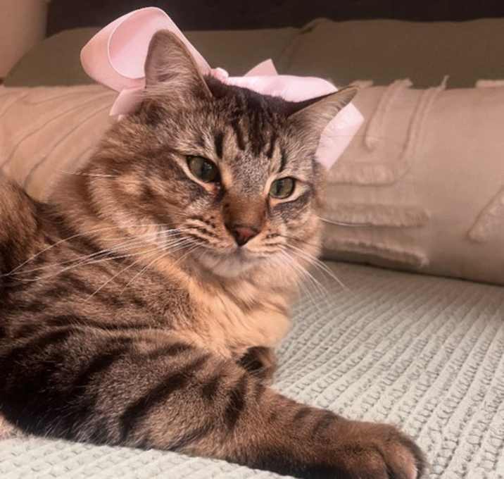 Photo of Gigi