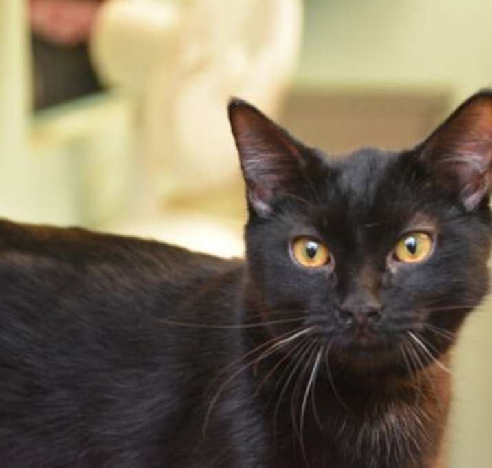 Photo of Stormy