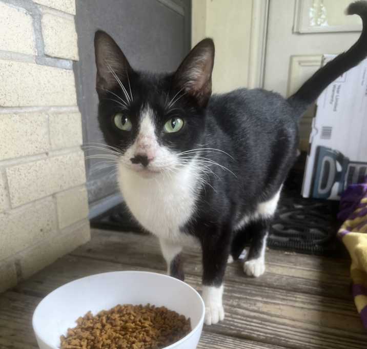 Photo of Honey