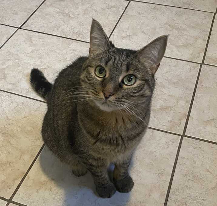 Photo of Phoebe
