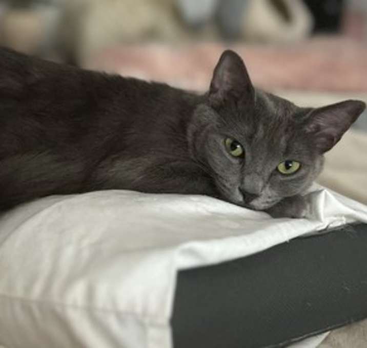 Photo of Jewel