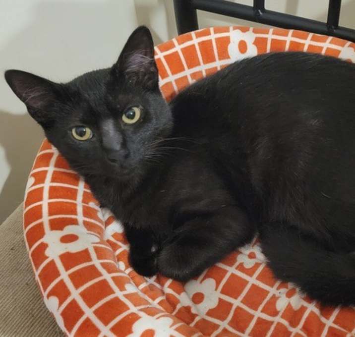 Photo of Abby