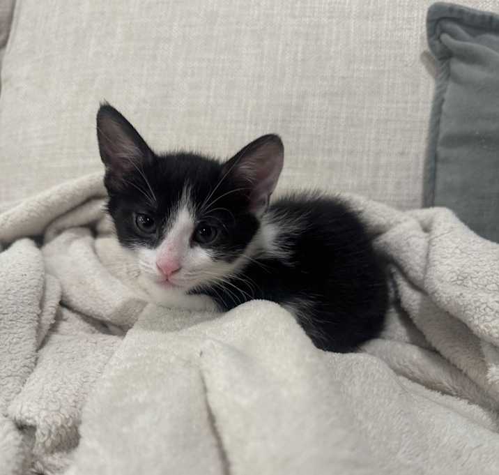 Photo of Jayce