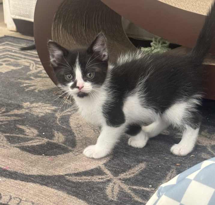 Photo of Viktor