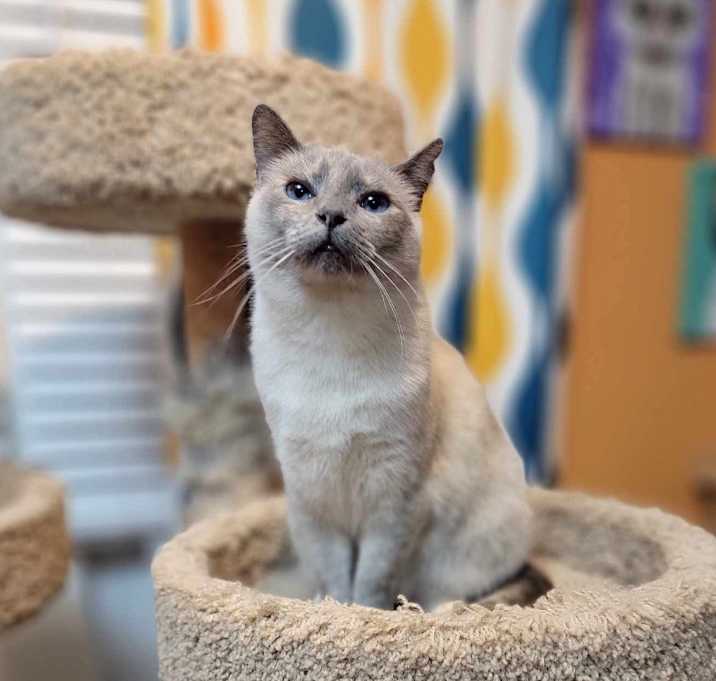 Photo of Tova
