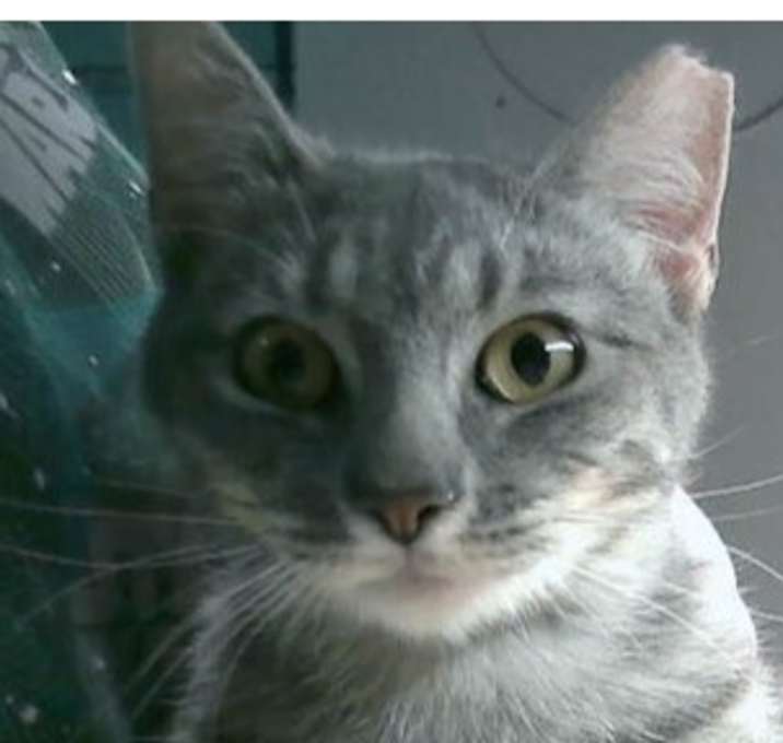 Photo of Marie