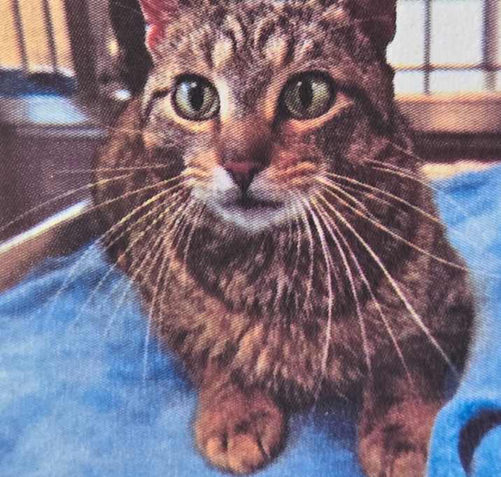Photo of Eowyn