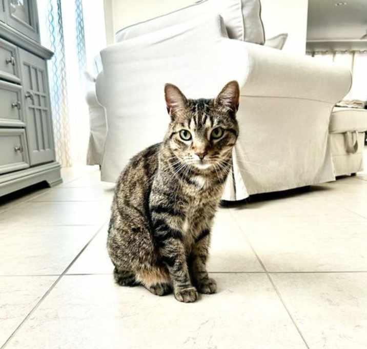 Photo of Coco