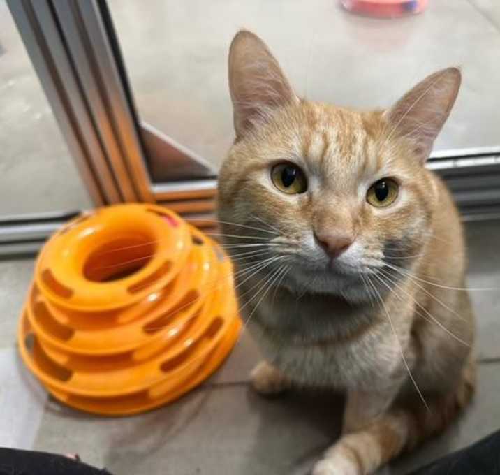 Photo of Winston