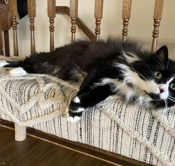 Photo of Elessar