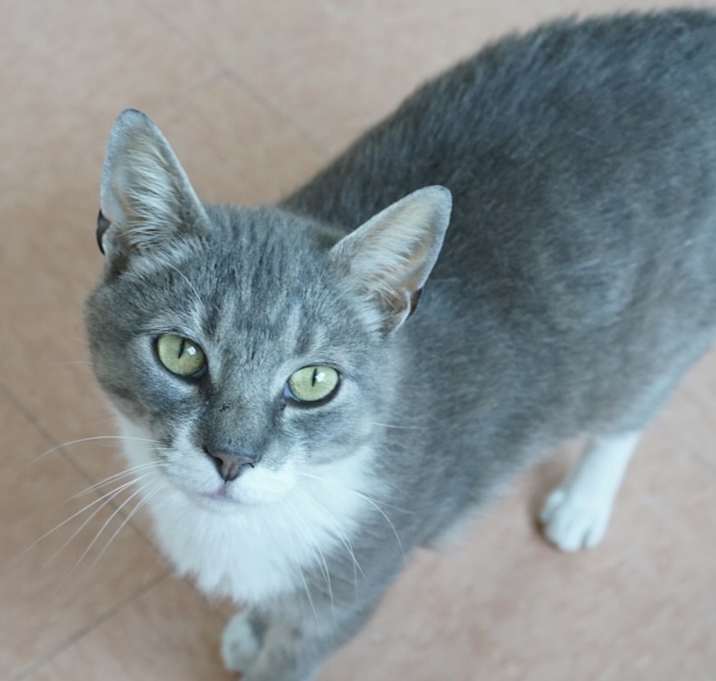 Photo of Big Milo