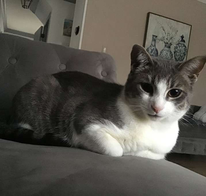 Photo of Pati