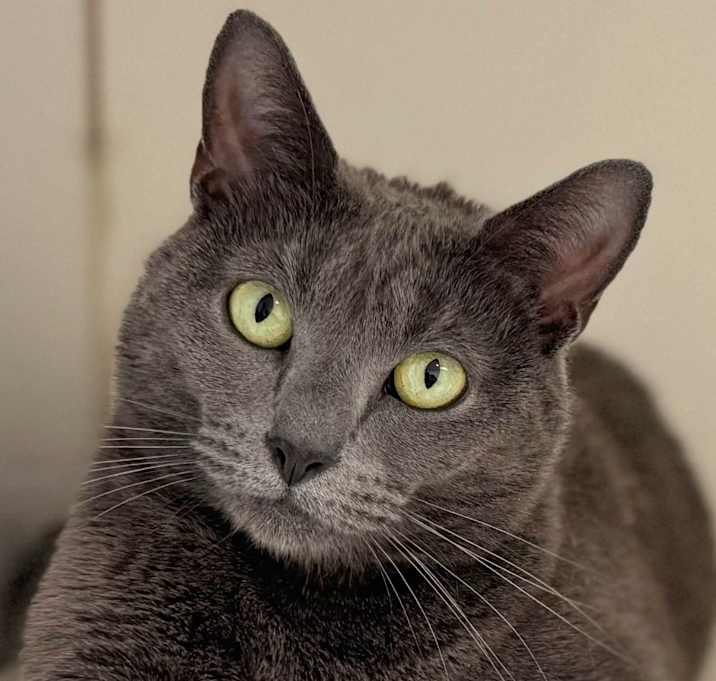 Photo of Michi