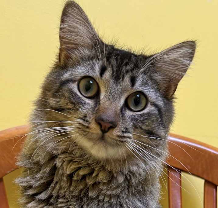 Photo of Rocky