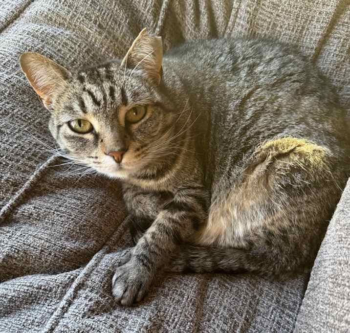 Photo of Ally
