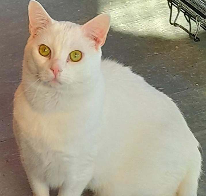 Photo of Schnee