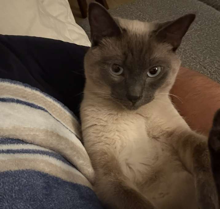 Photo of Jasper