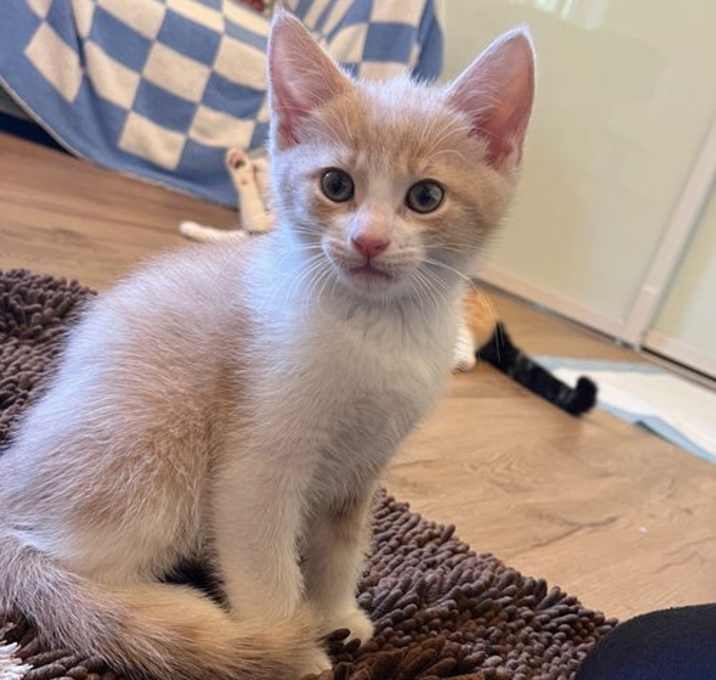 Photo of Billy