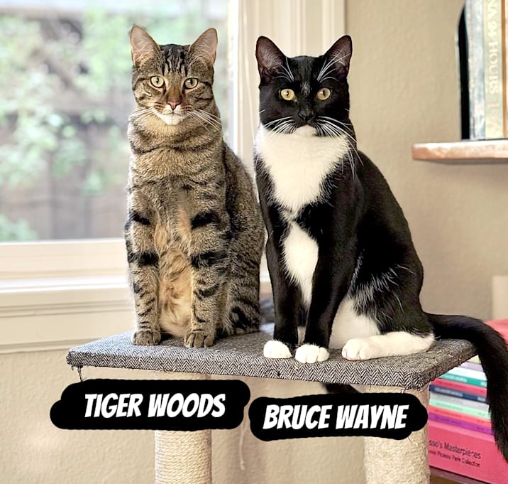 Photo of Bruce Wayne + Tiger Woods