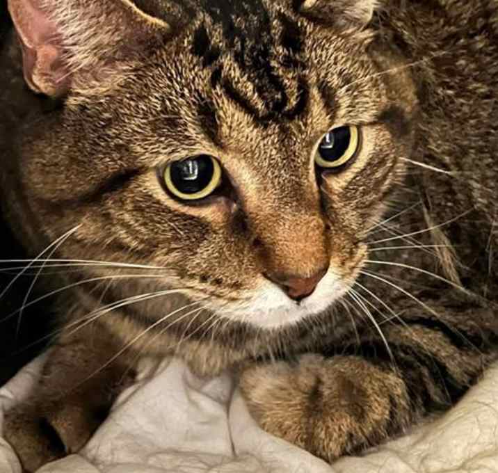 Photo of CHARLIE