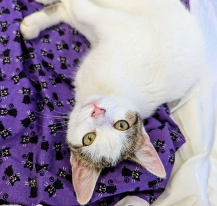 Photo of Zuri