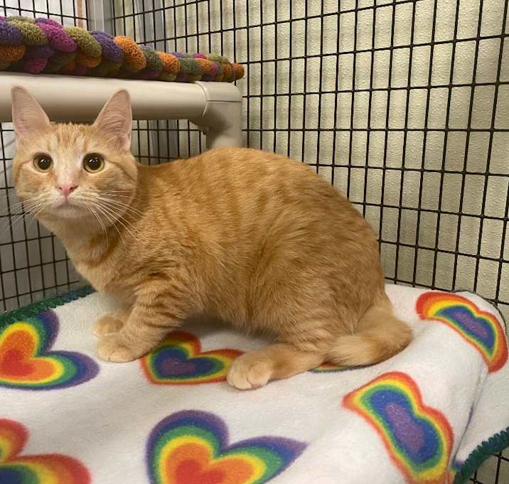 Photo of Crumble