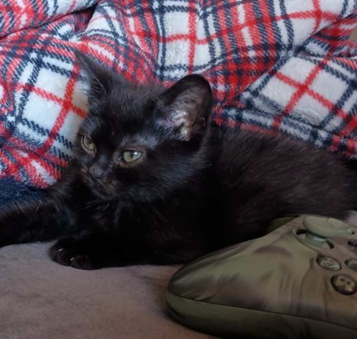 Photo of EROS