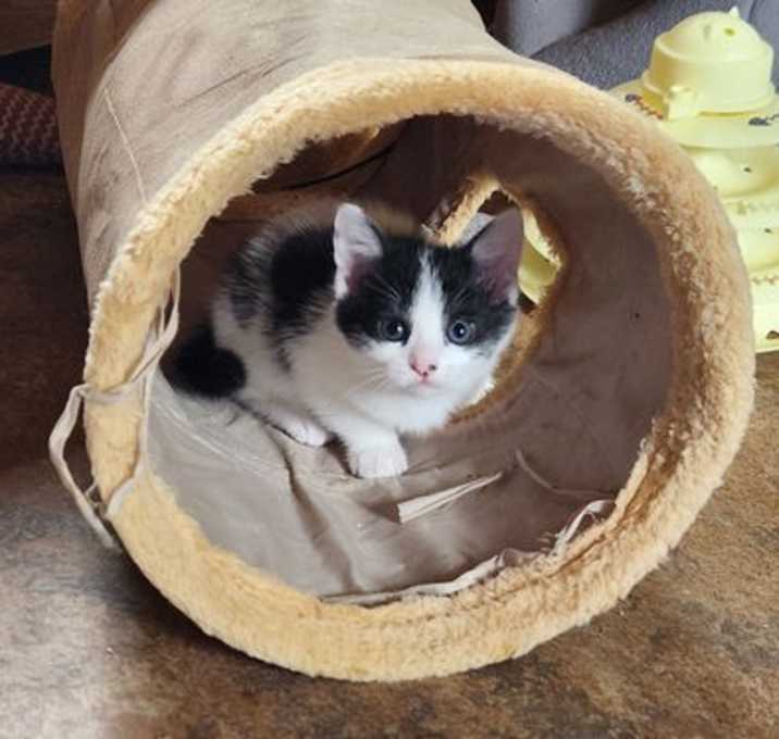 Photo of Babs