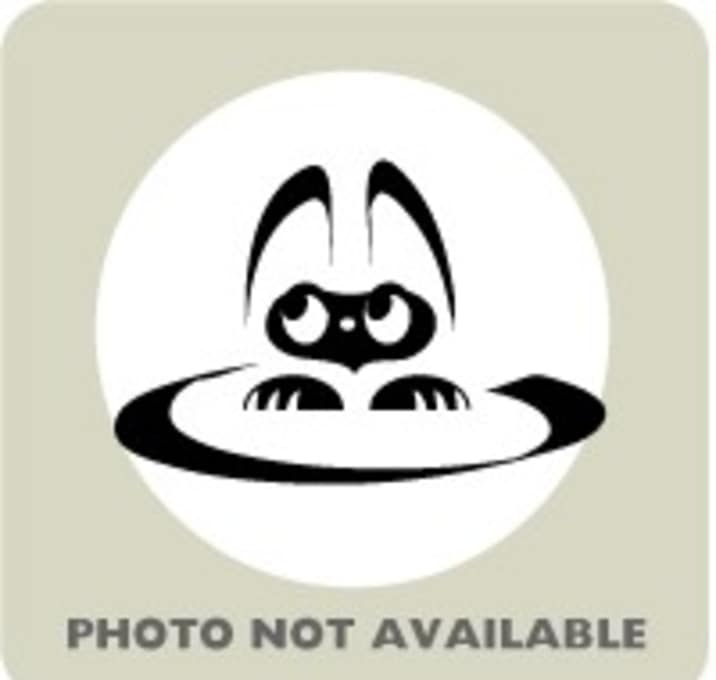 Photo of 58502704