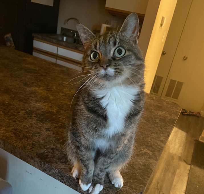 Photo of Jeffrey