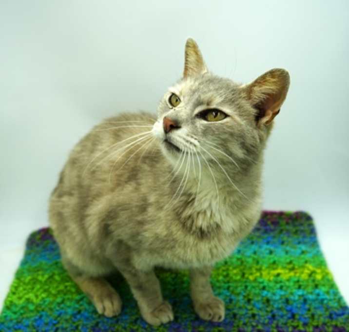Photo of Delilah