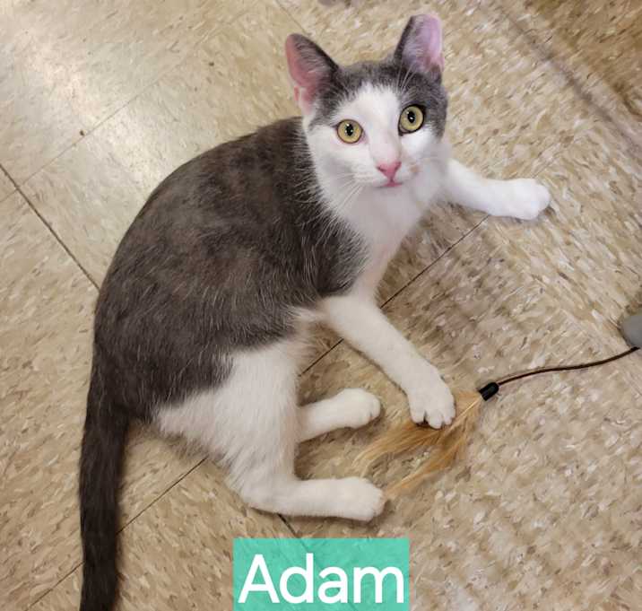 Photo of Adam