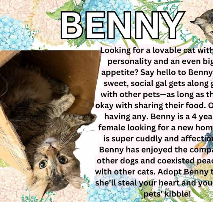 Photo of Benny