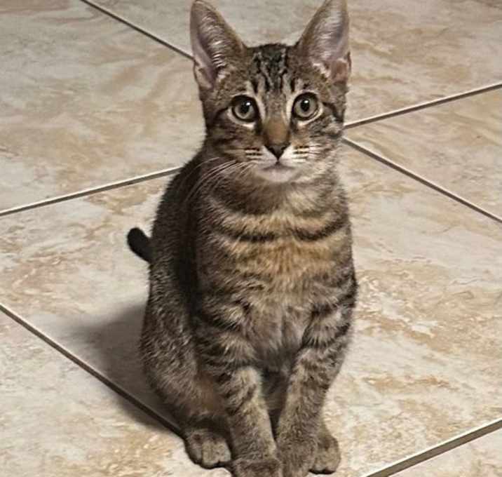 Photo of Rico
